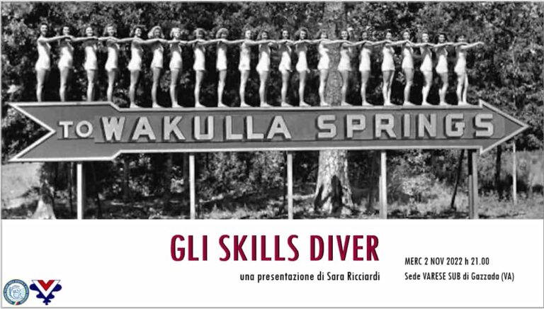 Serata Skills Diver