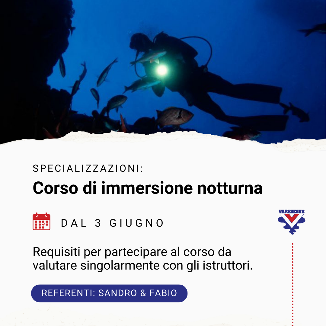 Corso immersione notturna e con scarsa visibilità