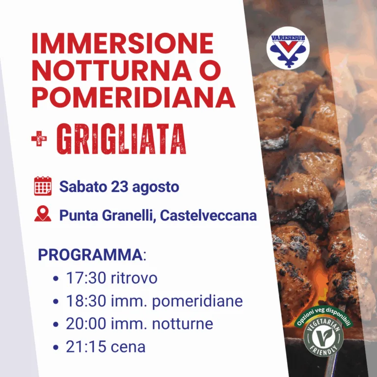 Immersione notturna + grigliata