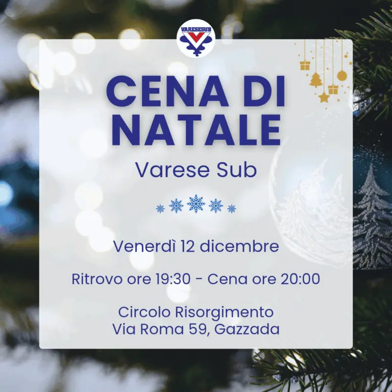Cena di Natale 2025