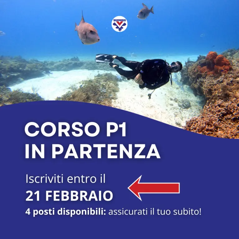 Corso P1 in partenza!